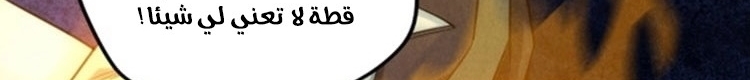 الصفحة 73