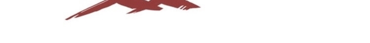 الصفحة 46