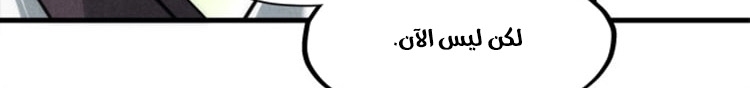 الصفحة 217