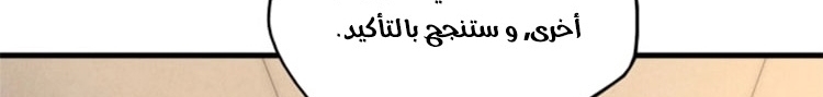 الصفحة 234