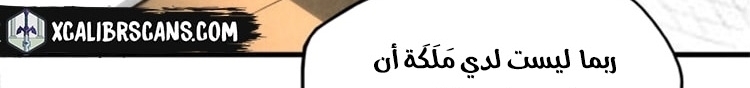 الصفحة 253