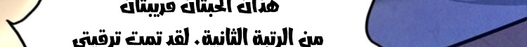الصفحة 531