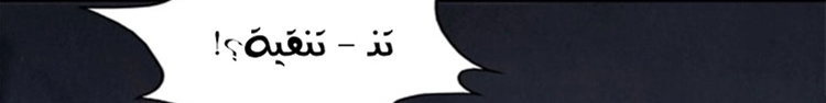 الصفحة 43