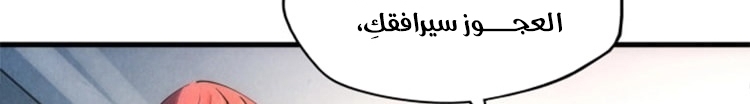 الصفحة 338