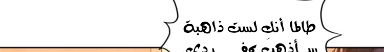 الصفحة 411