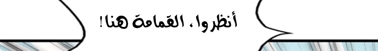 الصفحة 520