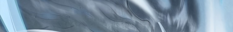 الصفحة 613