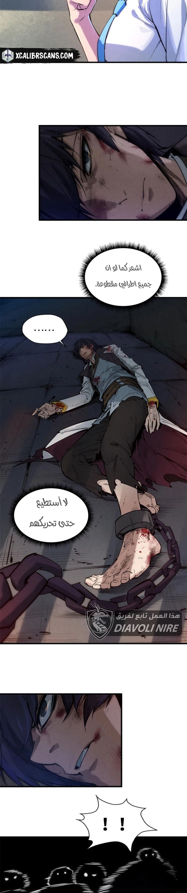 الصفحة 17