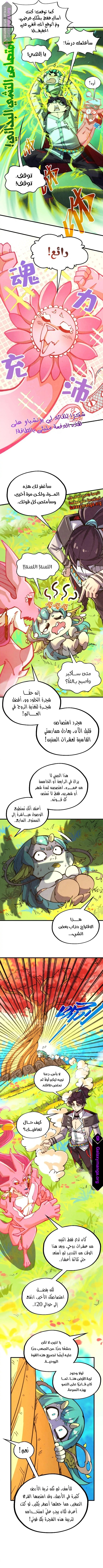 الصفحة 3
