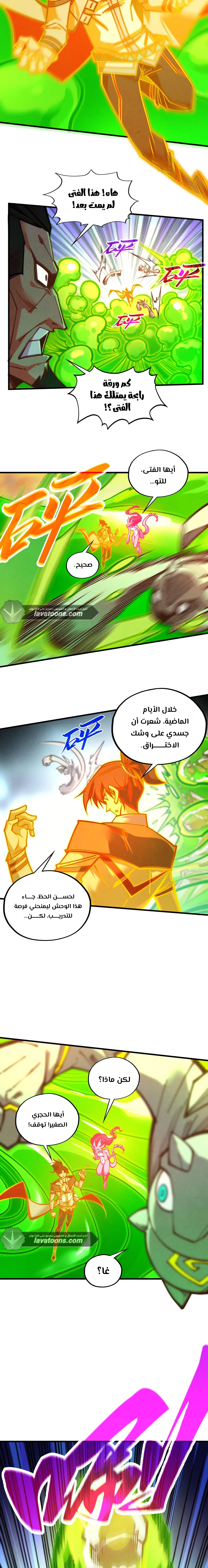 الصفحة 11
