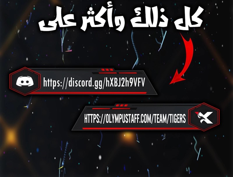 الصفحة 13