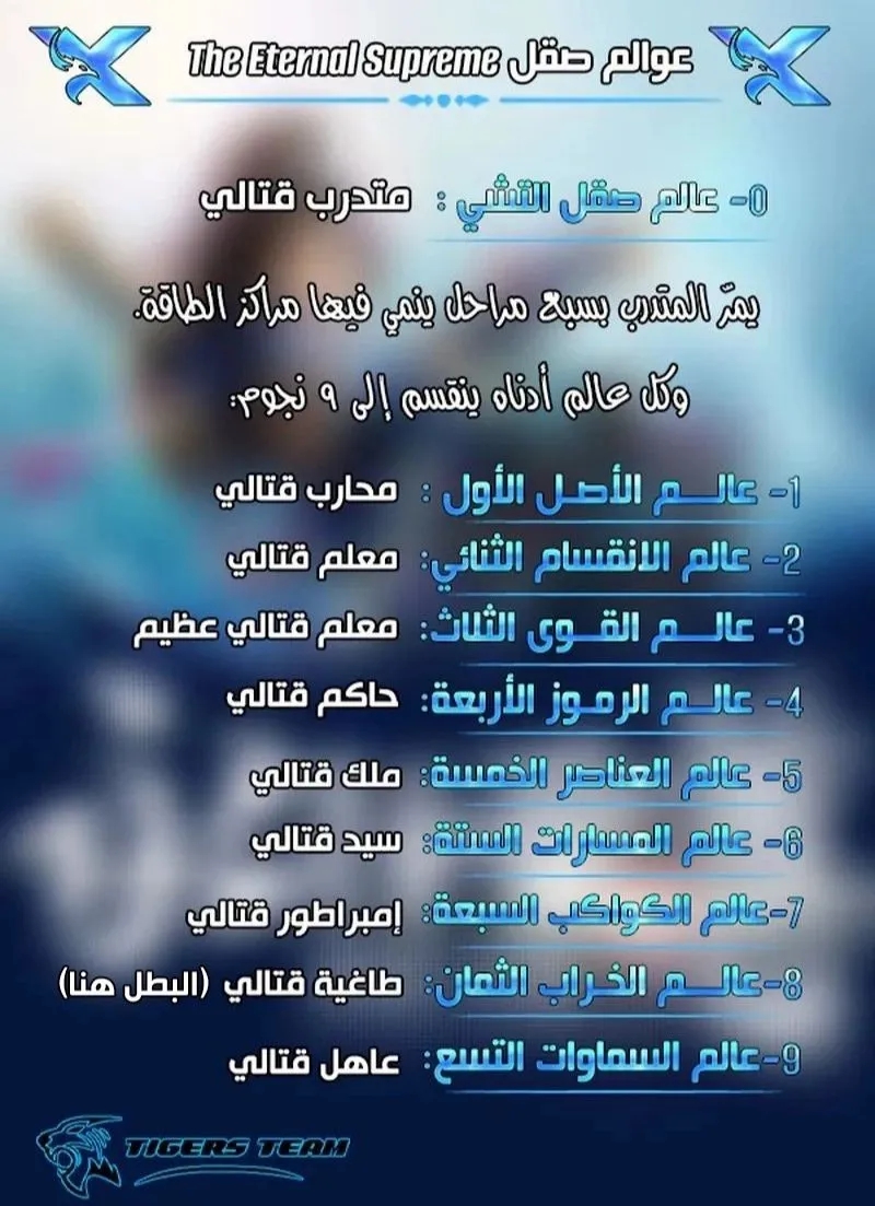 الصفحة 13