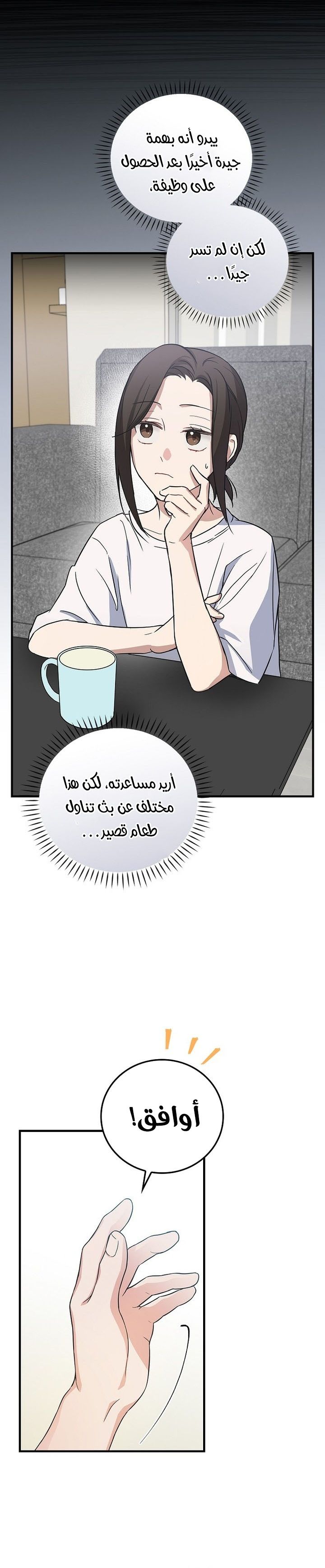 الصفحة 11