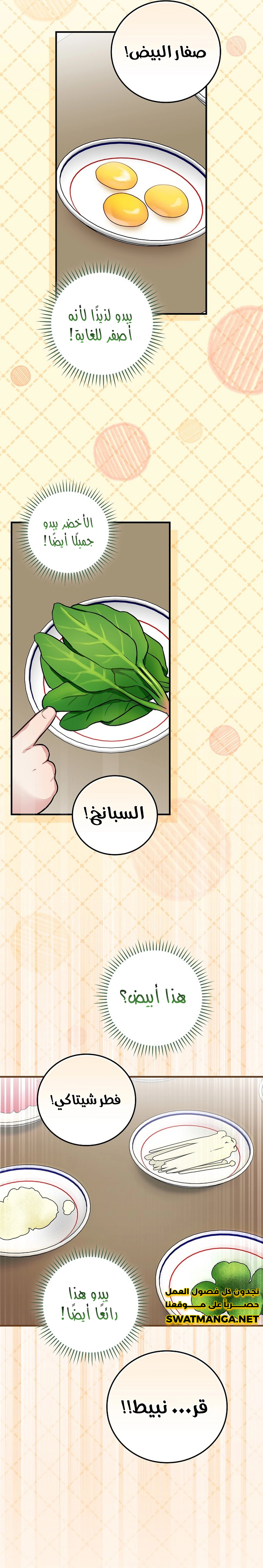 الصفحة 16