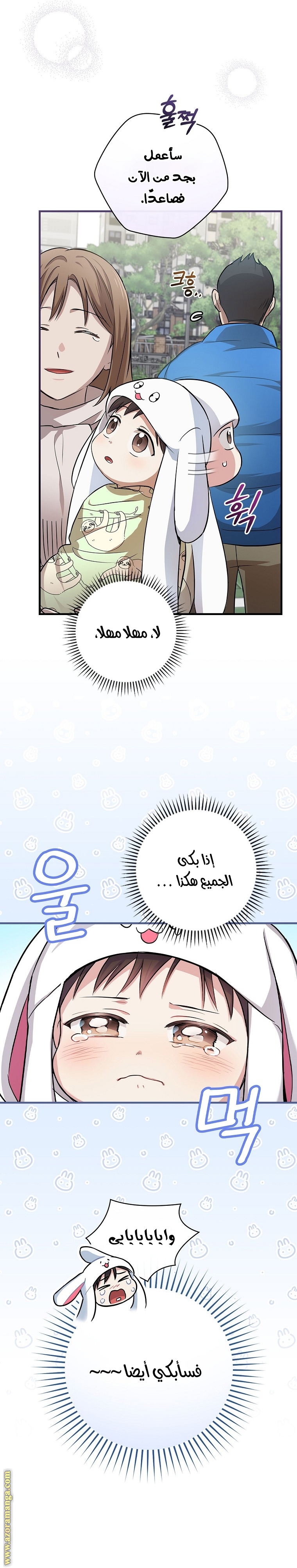 الصفحة 17