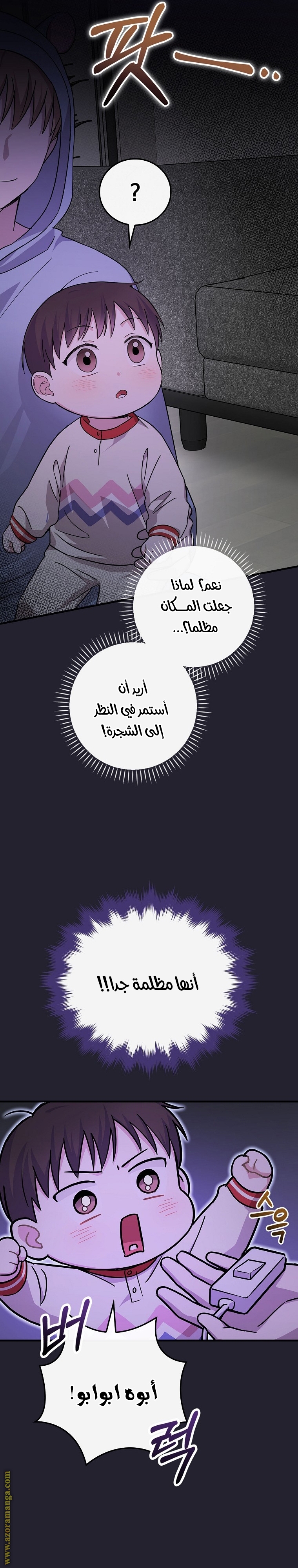 الصفحة 21