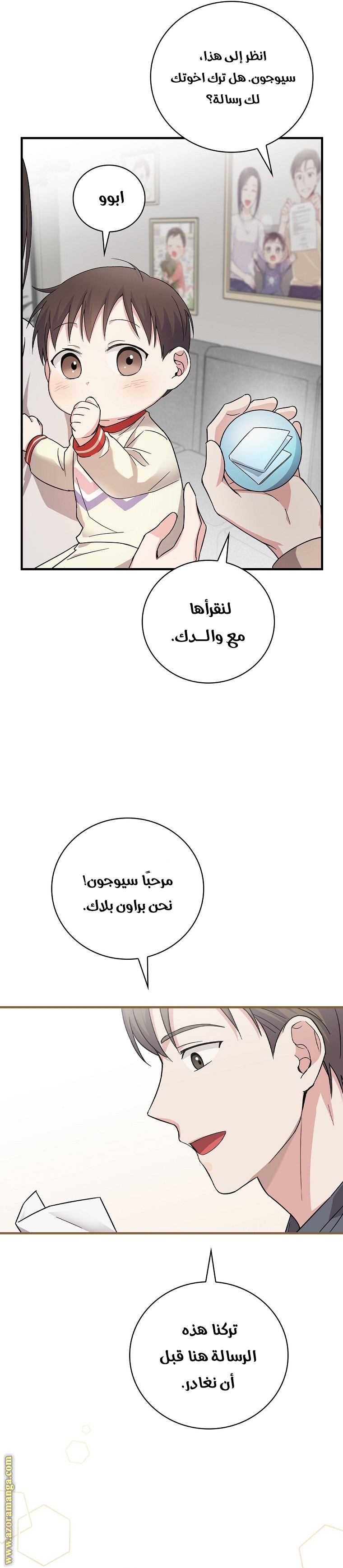 الصفحة 29