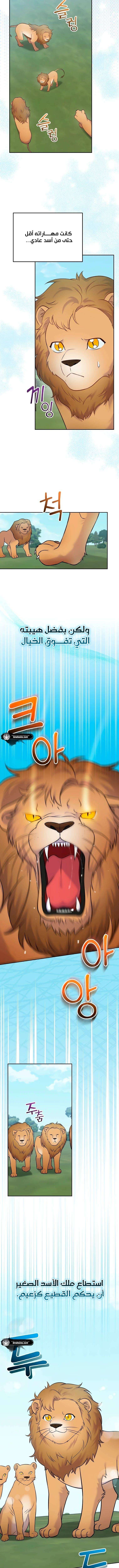 الصفحة 8