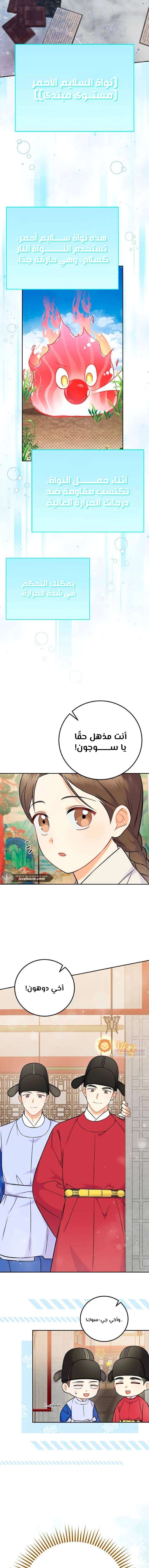 الصفحة 13