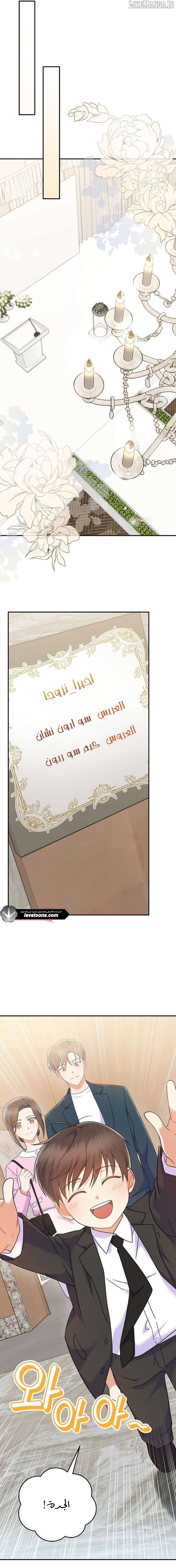 الصفحة 17