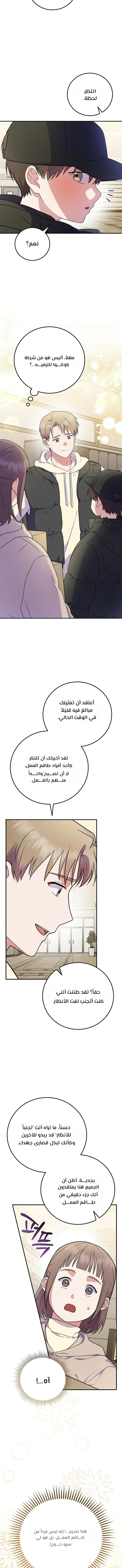 الصفحة 17