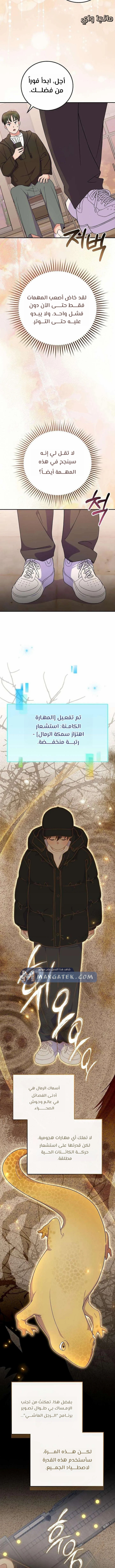 الصفحة 17