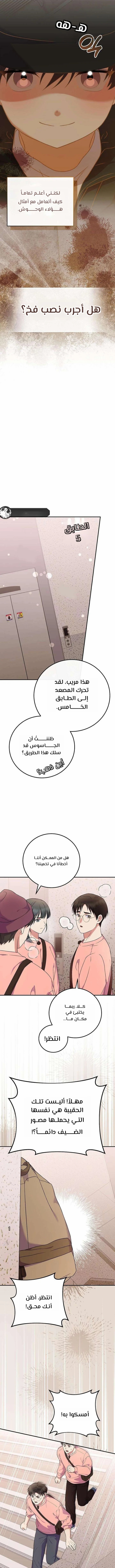 الصفحة 19