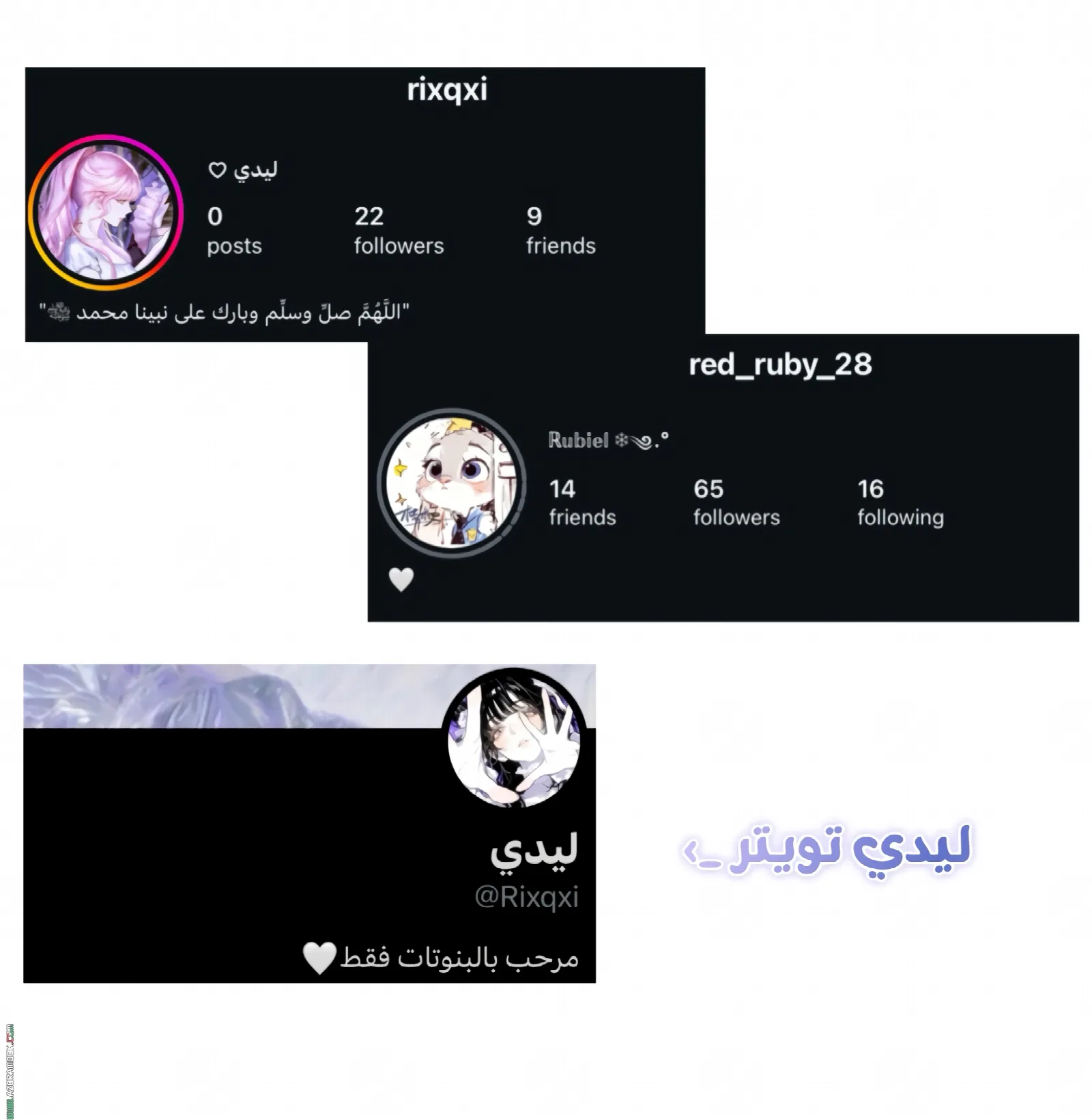 الصفحة 12
