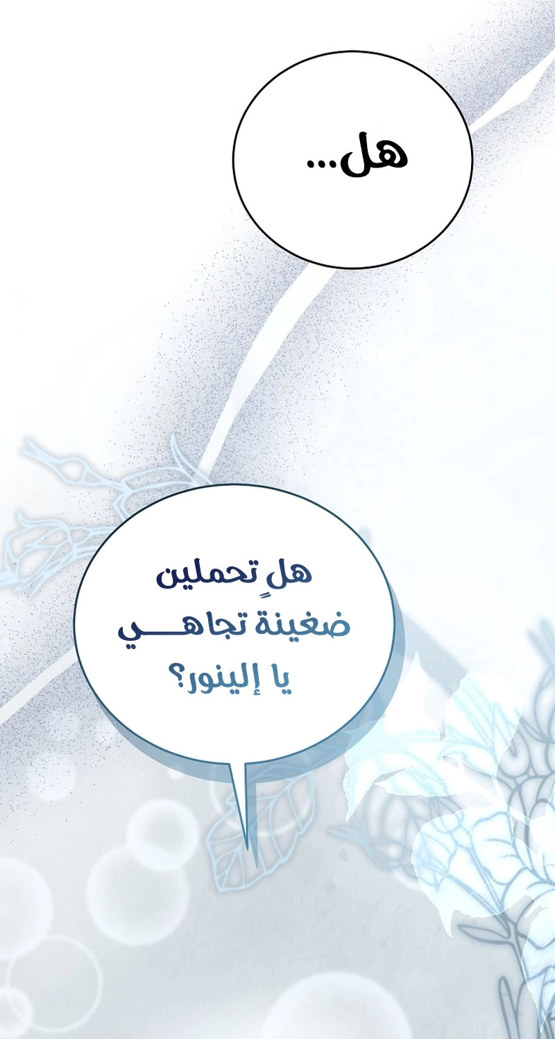 الصفحة 39
