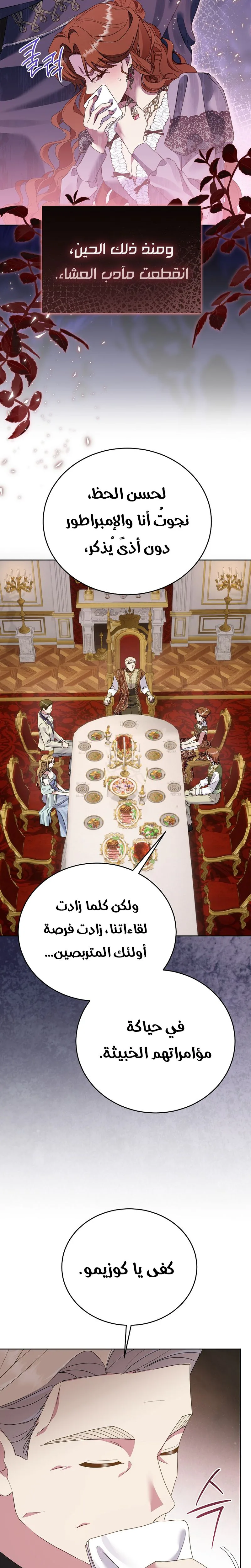 الصفحة 17