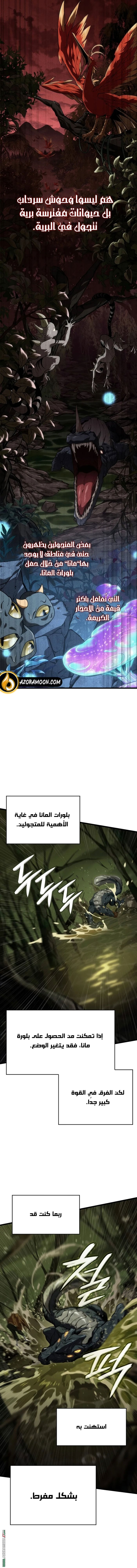 الصفحة 17