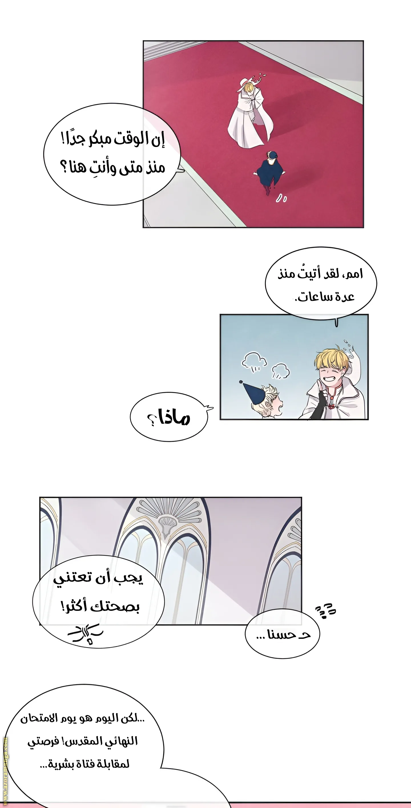 الصفحة 13