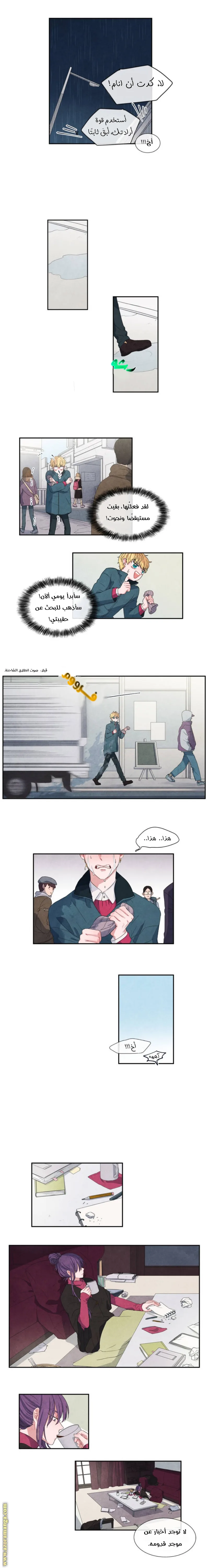 الصفحة 3