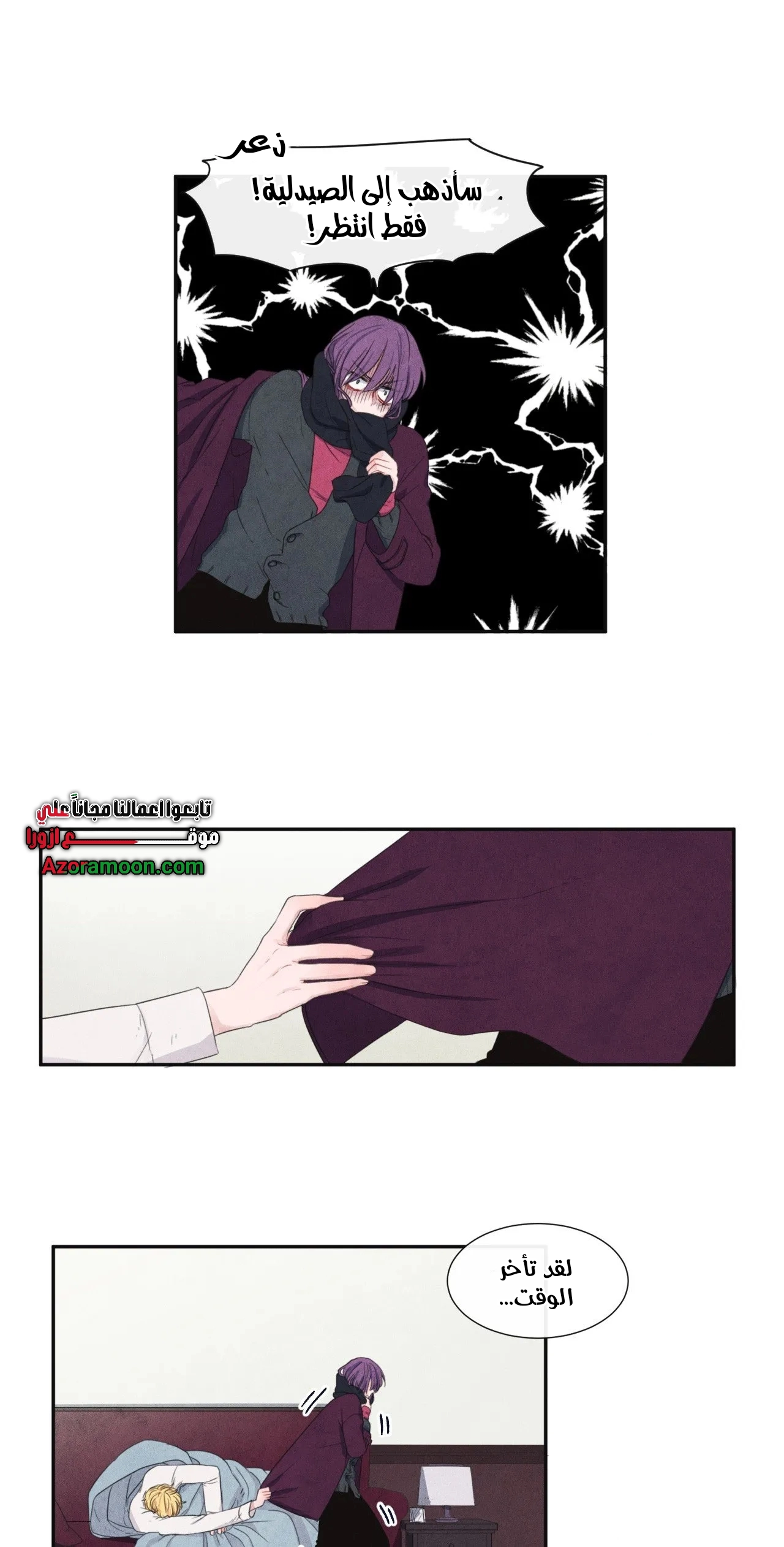 الصفحة 13