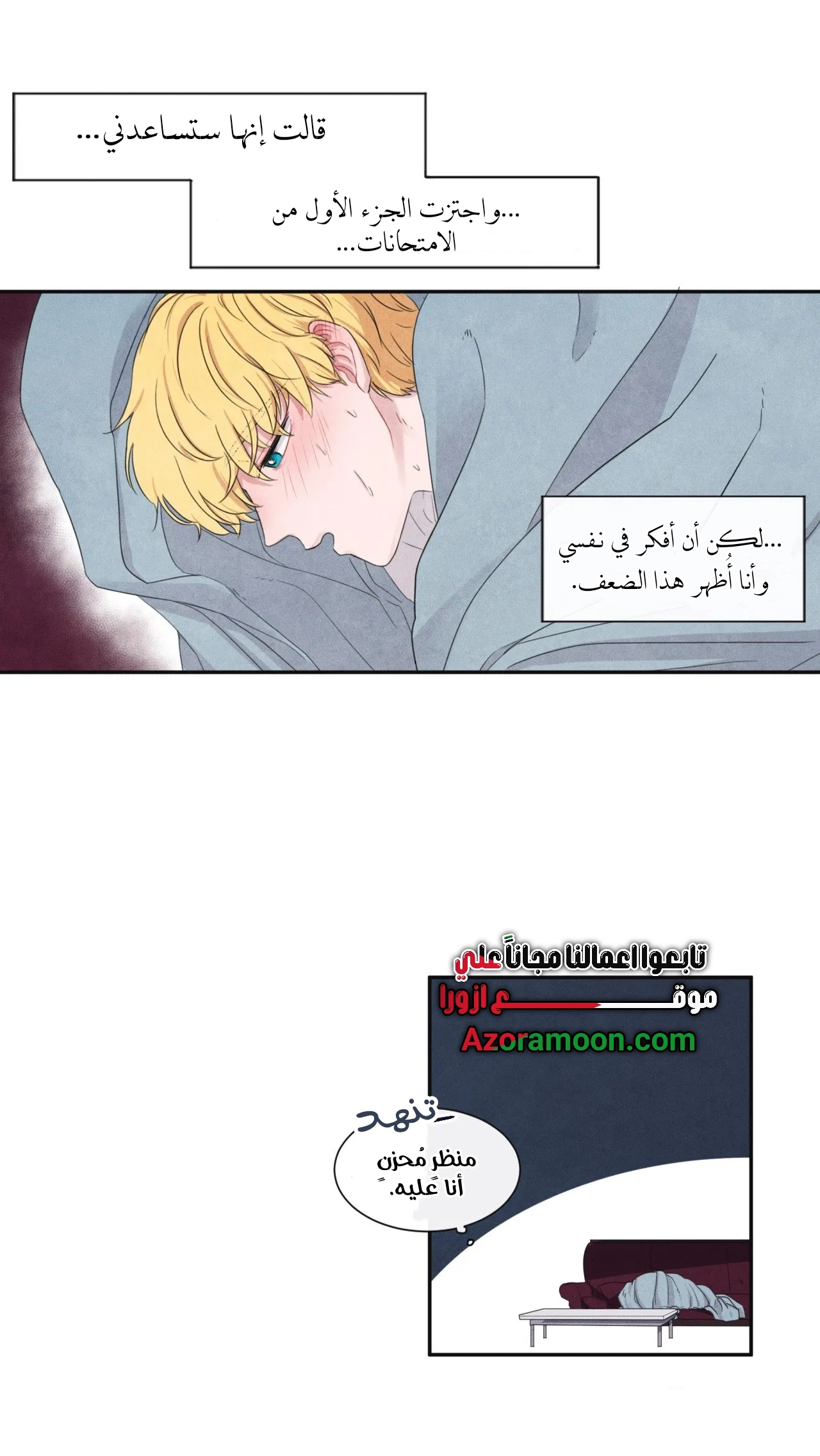 الصفحة 17