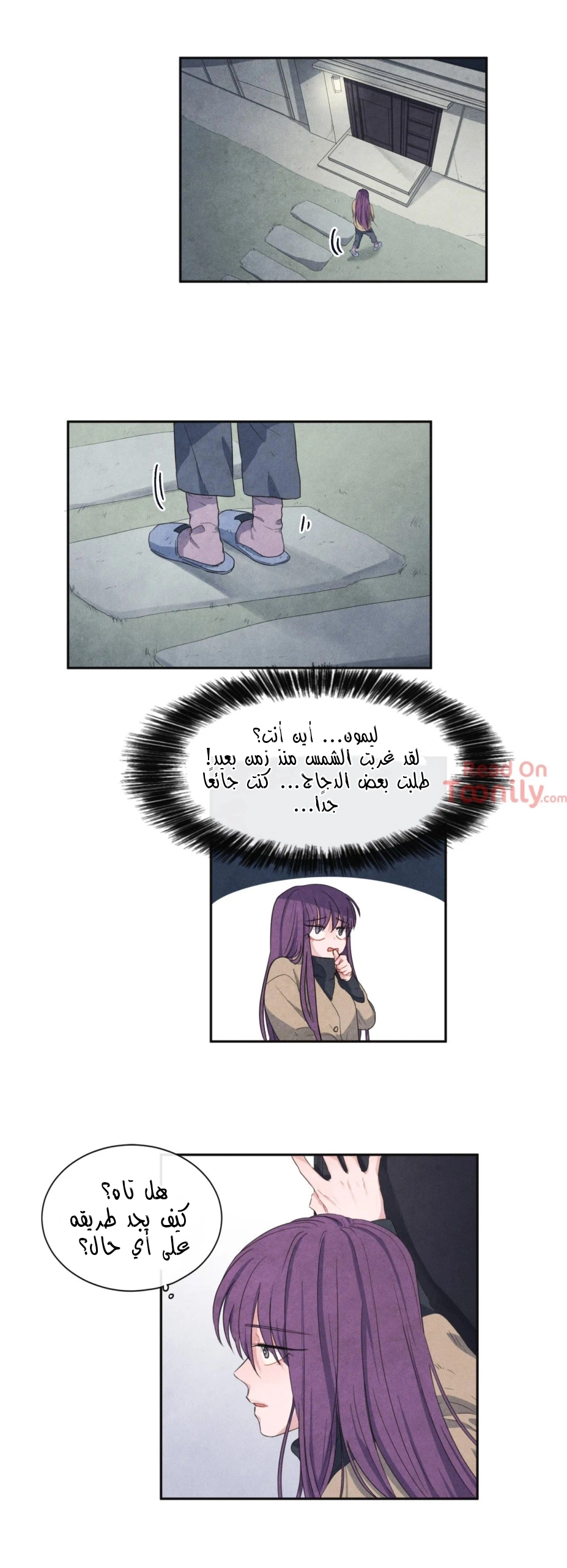 الصفحة 13
