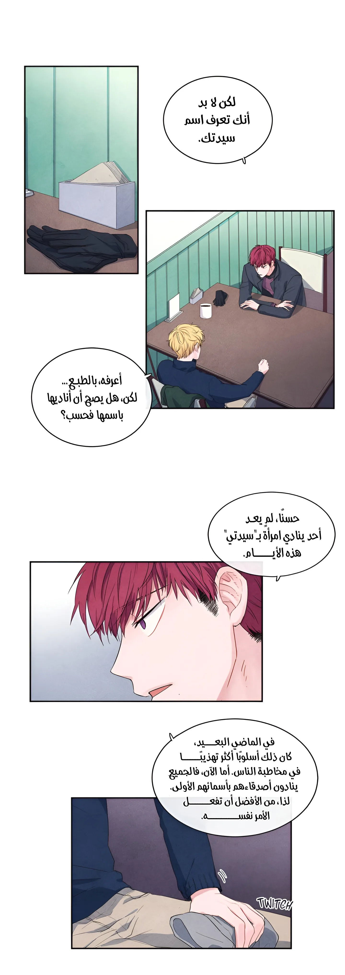 الصفحة 13