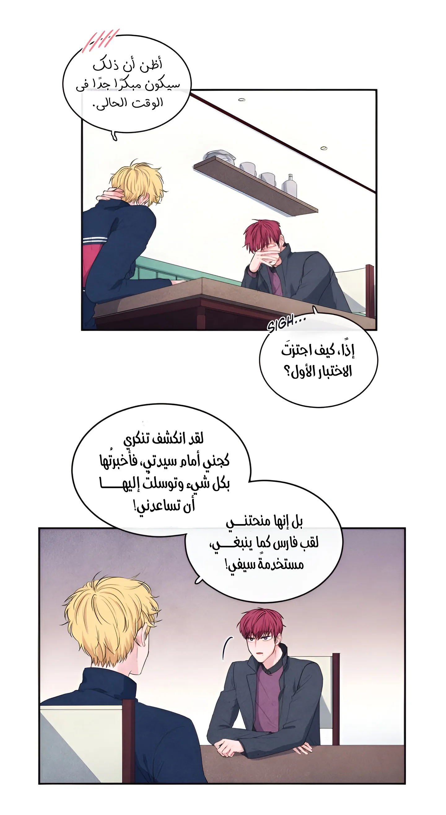 الصفحة 14