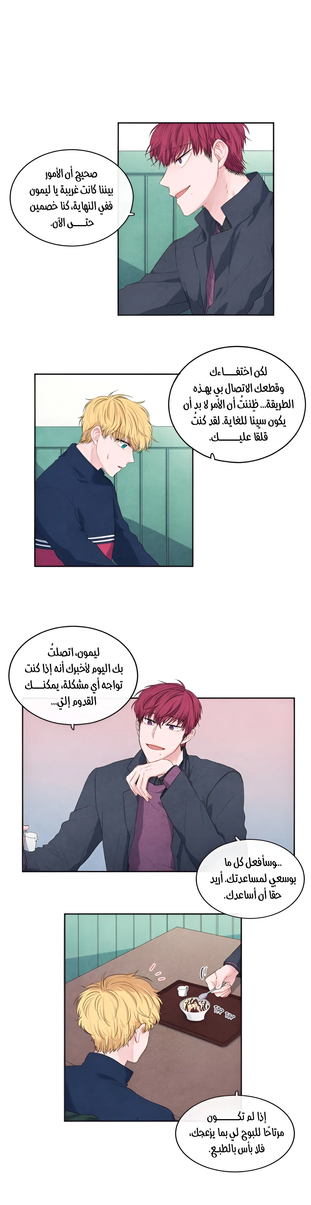 الصفحة 17