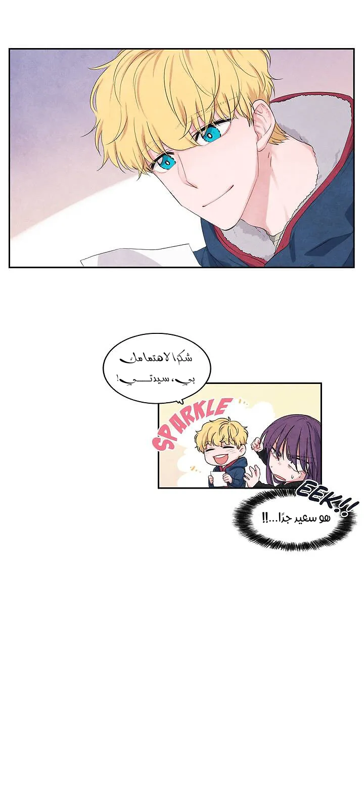 الصفحة 13