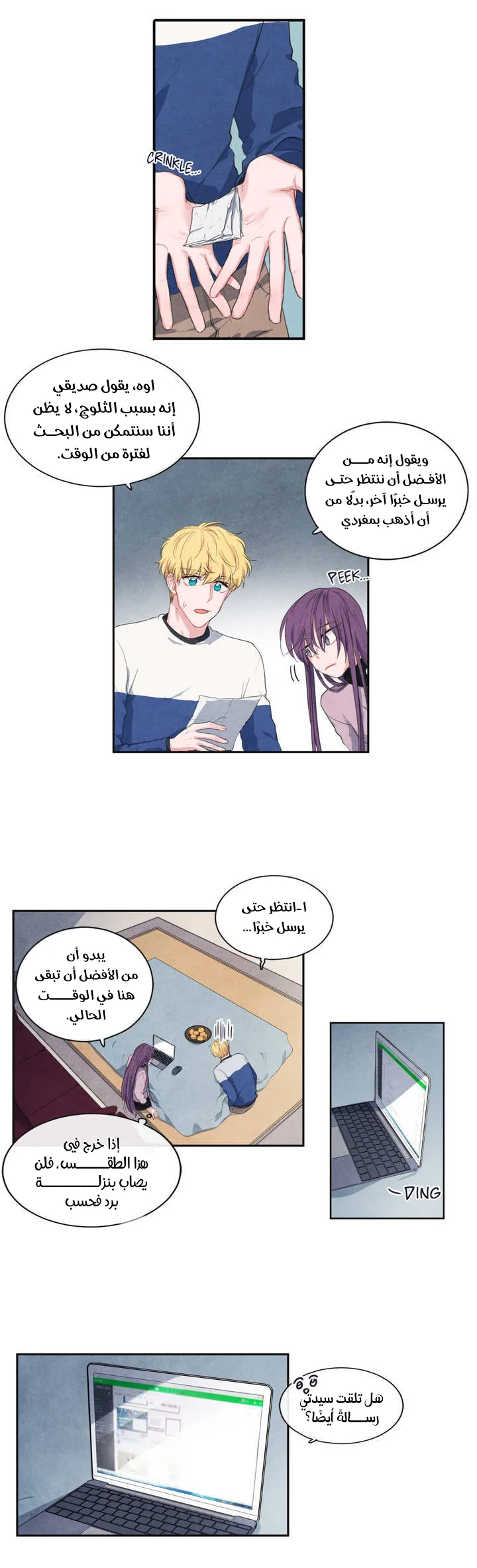 الصفحة 13
