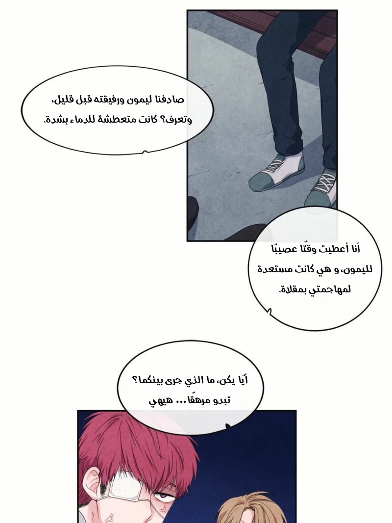 الصفحة 16