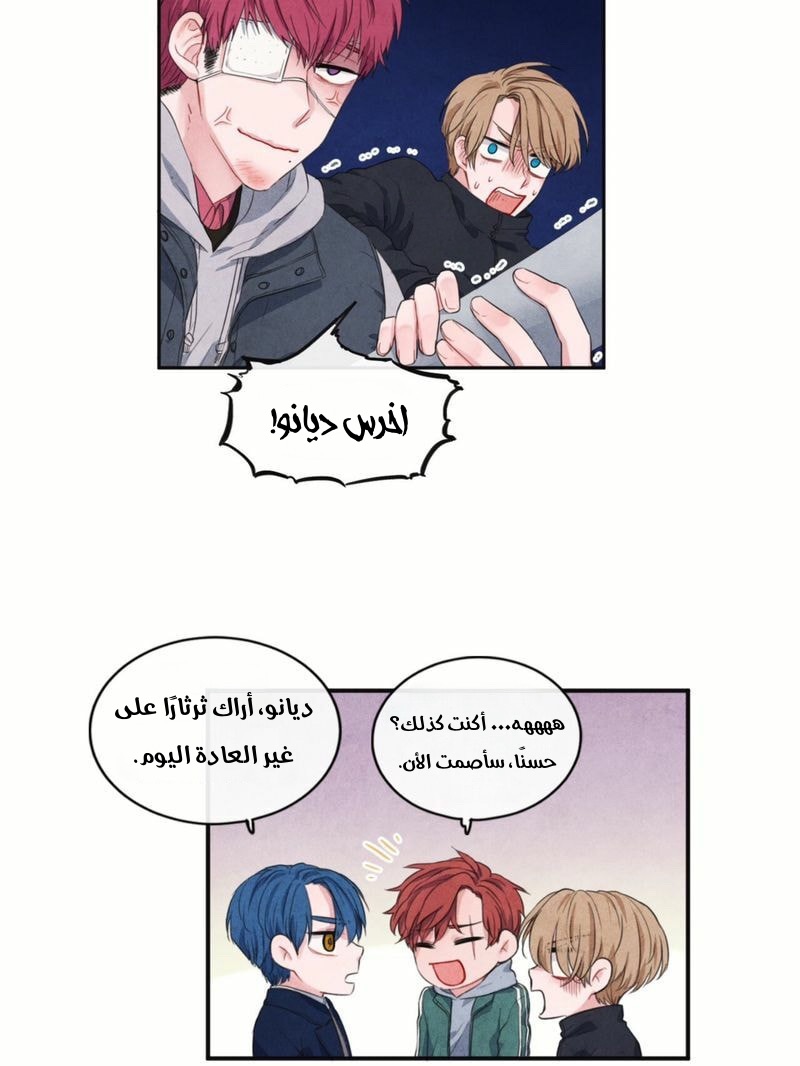 الصفحة 17