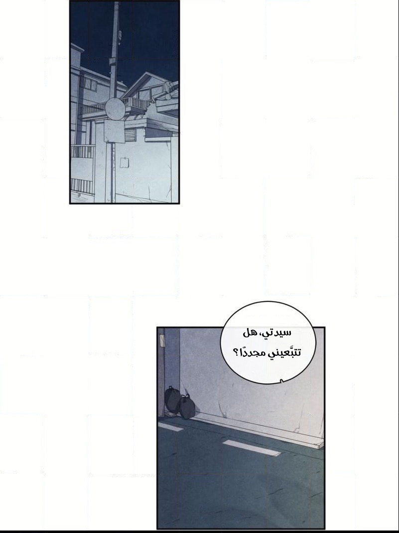 الصفحة 21
