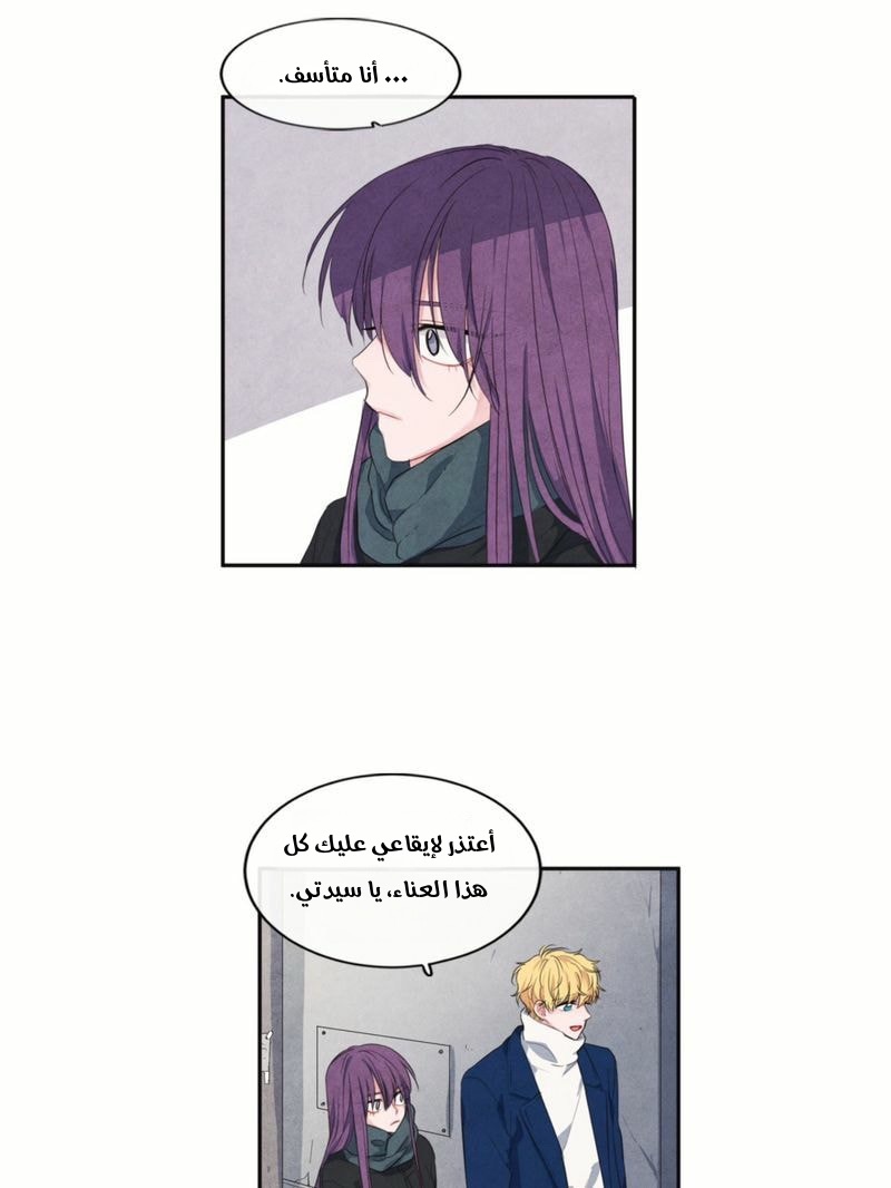 الصفحة 24