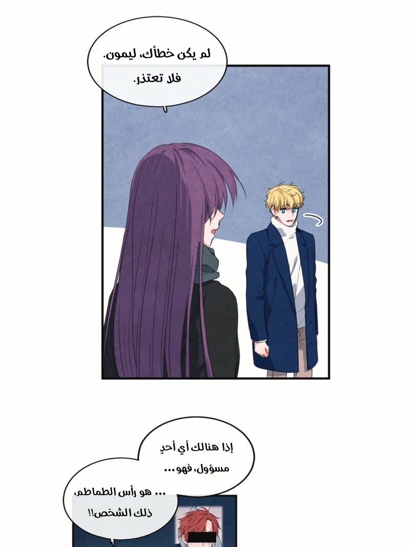 الصفحة 26