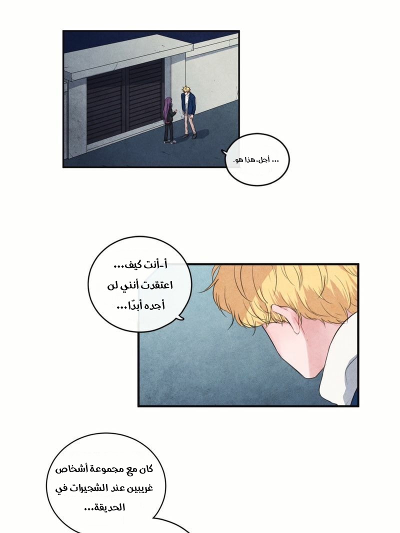 الصفحة 29