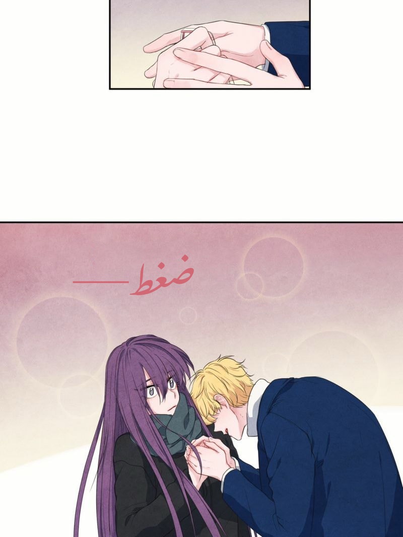 الصفحة 31