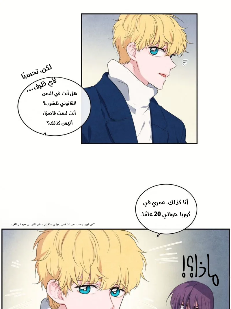 الصفحة 13