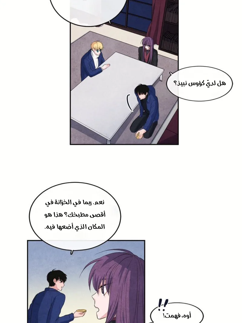الصفحة 15